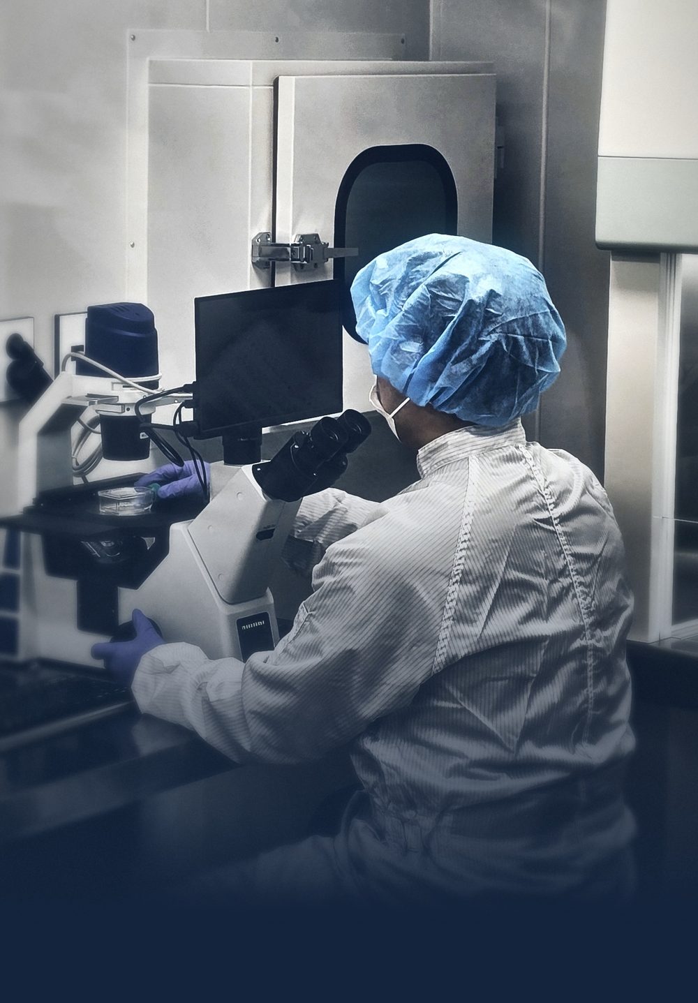 NK세포 면역치료 (NK Cell Immunotherapy) 안내 이미지 - 강남 서울 셀이즈랩의원